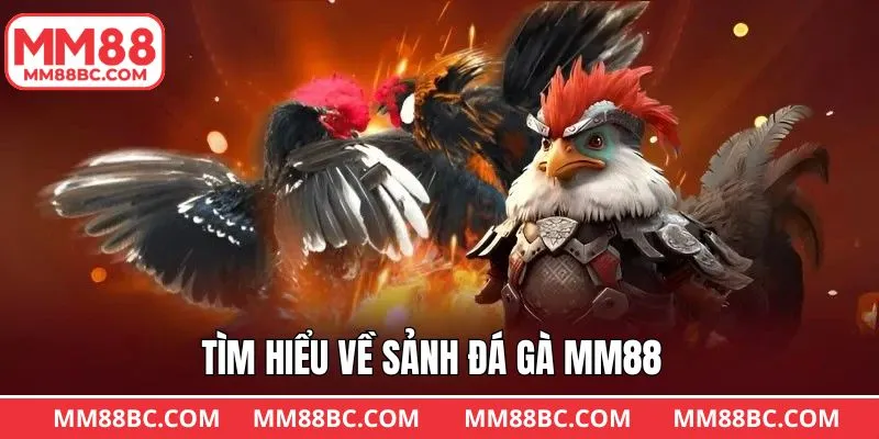 Giới thiệu chung về chuyên mục chọi gà MM88